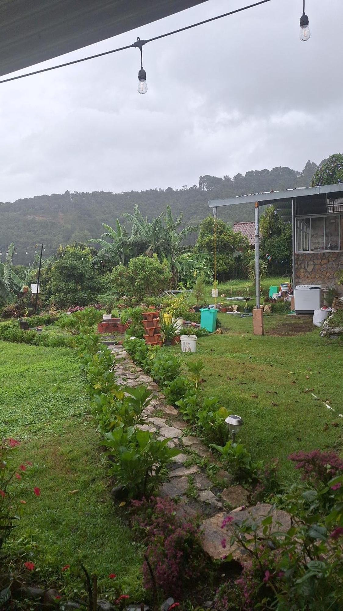 Hostal Vista Boquete Bajo Boquete Exterior foto